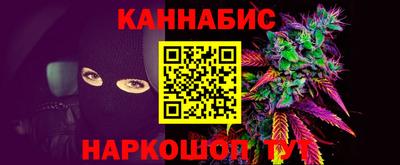 дмт Новодвинск