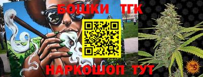 дмт Новодвинск