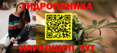 эйфоретик Новокубанск