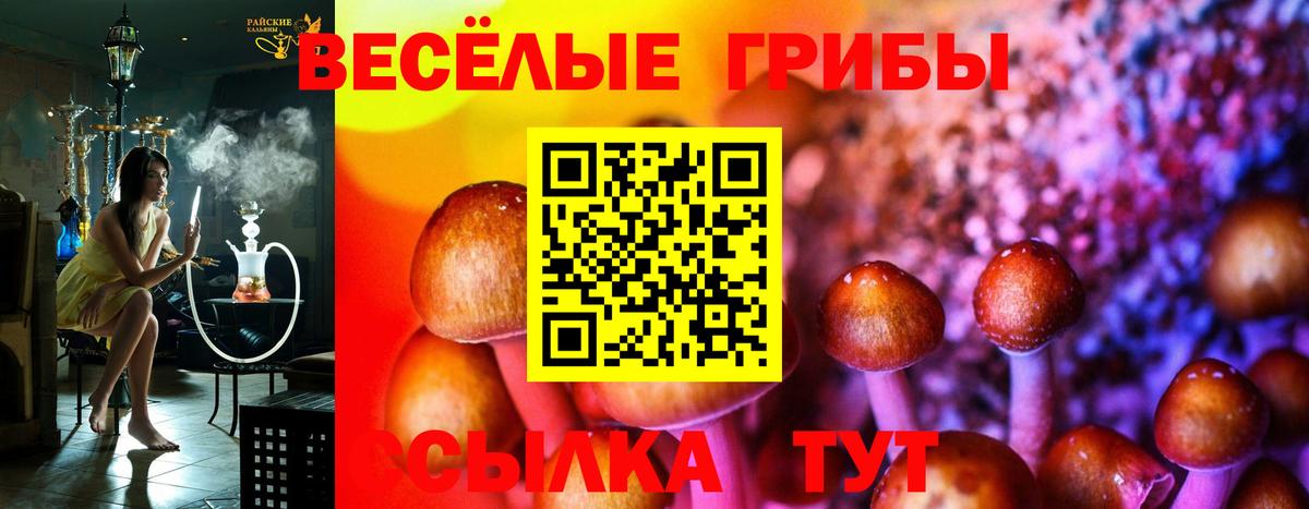Галлюциногенные грибы мицелий  Вход с VPN  Пугачёв 